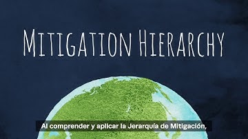 BHP and Conservation International | Mitigation Hierarchy