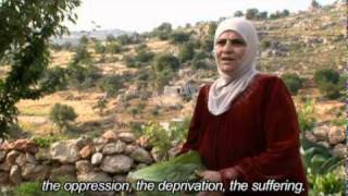 MDG 3 Promote gender equality and empower women