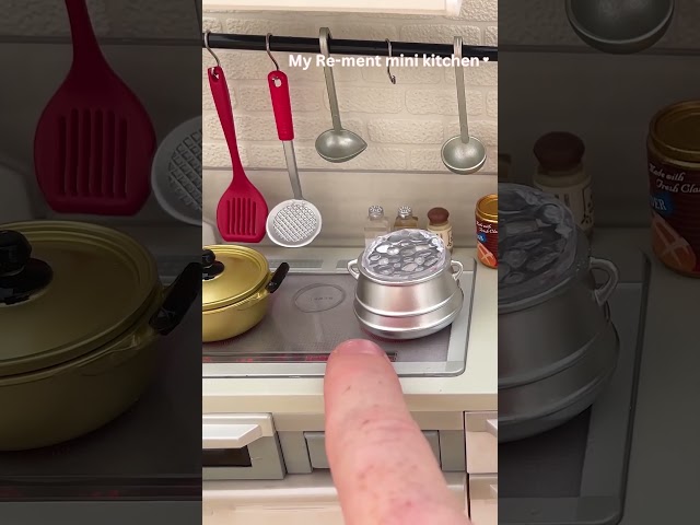 Delicious tiny cooking no way it's real #miniature #satisfying #asmr