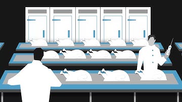 TandD Overview Video