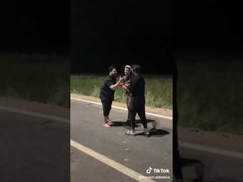 حسن الدبيسي كارثه بالتوزيع معزب