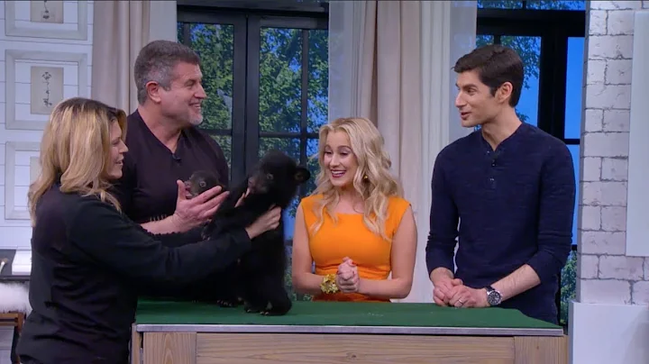 Grin and Bear It: Cuddling Up with Bear Cubs! - Pi...