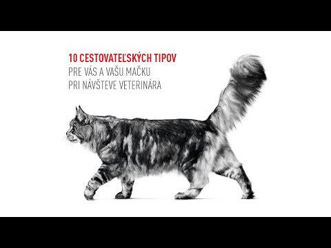 Video: Dôležitosť Veterinárnych Lekárov Pre Mačky