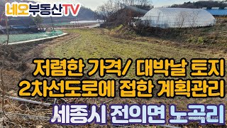 (보류)세종시  주말농장, 계획관리, 용도다양, 투자용토지, 2차선 도로 접, 교통편리하고 접근성이 좋은 위치, 개발호재 많은 지역