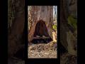 La GUERRA se lo QUITÓ TODO☠️😵 #supervivencia #campfire #bushcraft #reels #yt #latinshorts #cabaña