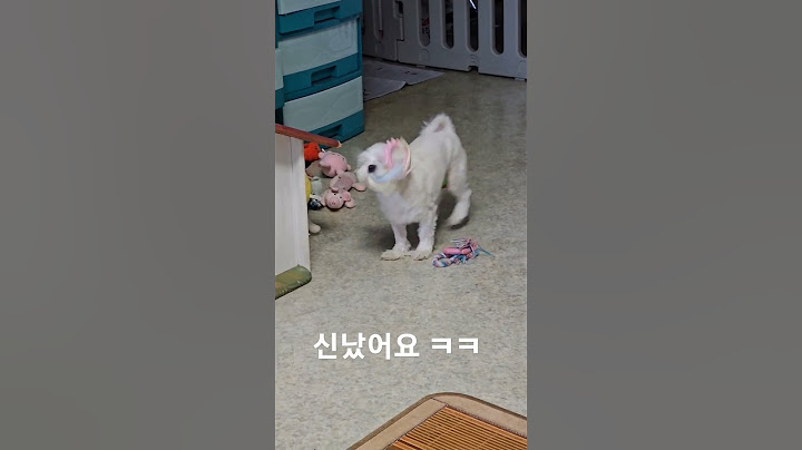 오늘은 주인공 #shorts#동물농장