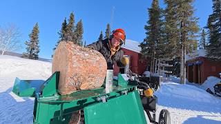 I Cut the LARGEST TREE of My Life… Then Tried a NEW 'MONSTER' LOG SPLITTER (Woodland Mills LS218)
