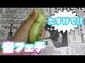 ASMR スライム スクイーズで音フェチ ASMR スライム スクイーズで音フェチ
