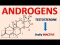 Androgens and androgenesis - Testosterone, Nandrolone, Mesterolone