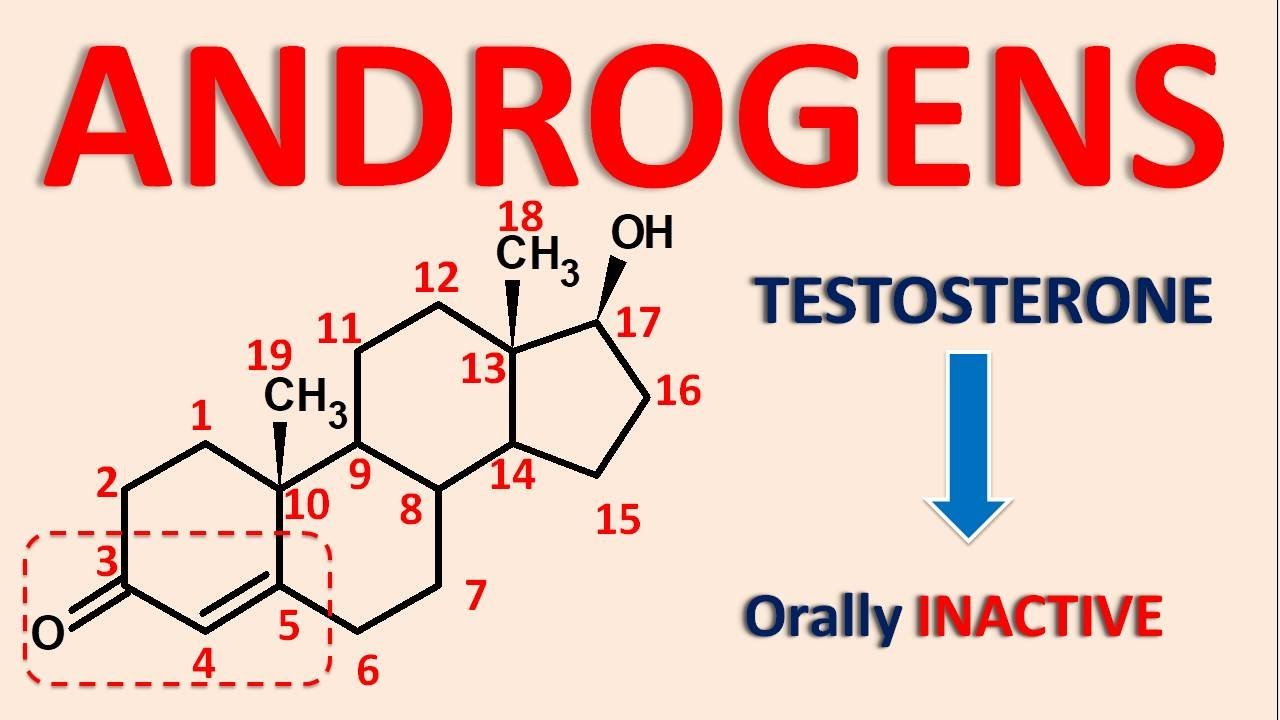 Was ist los mit legal steroide