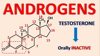 Androgens and androgenesis - Testosterone, Nandrolone, Mesterolone