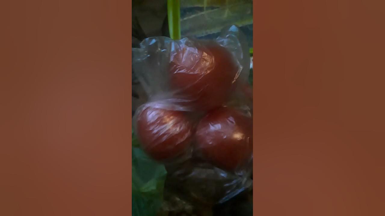 растопырка чез. - YouTube