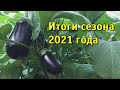 Солнечный вегетарий. Итоги сезона 2021 года. Обзор автоматики