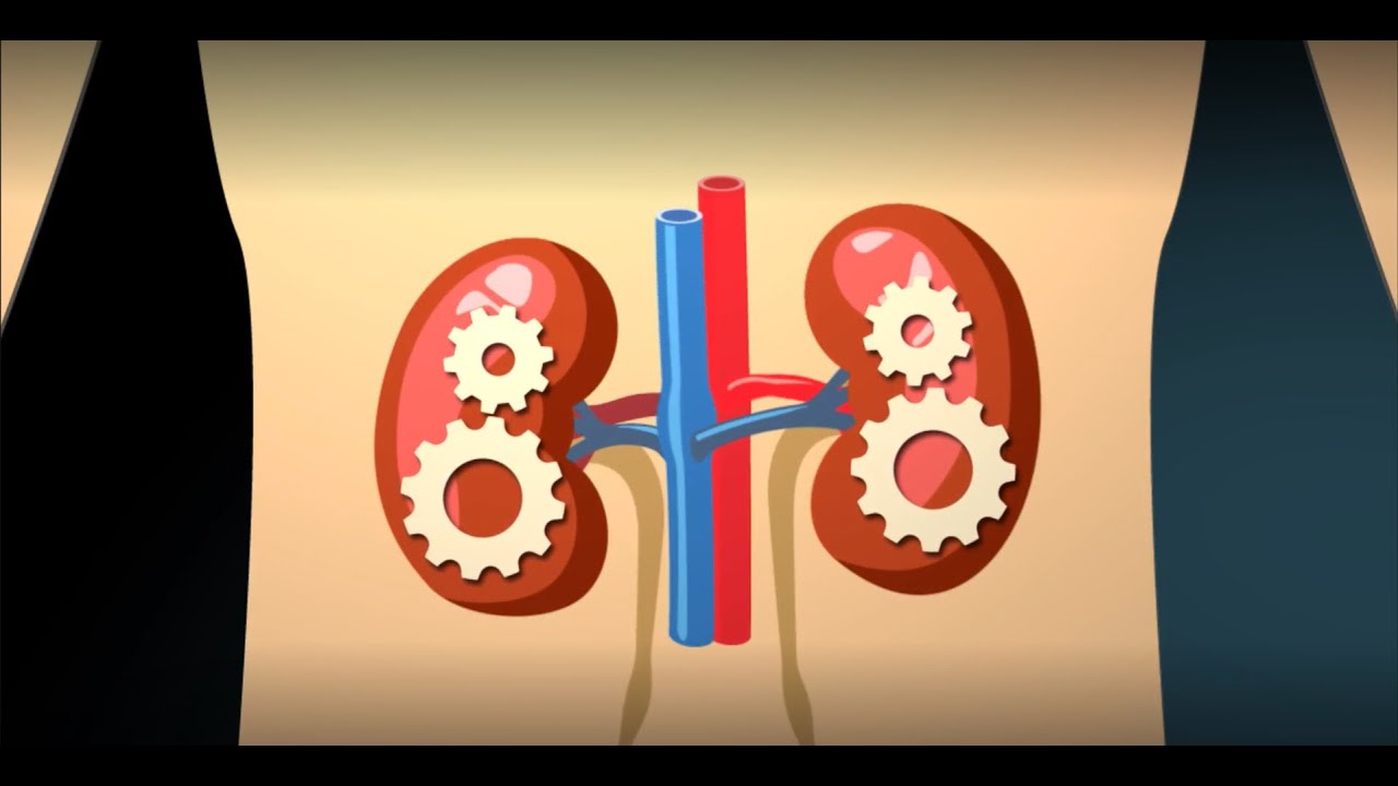 Värt att veta om diabetes - en film om njurar