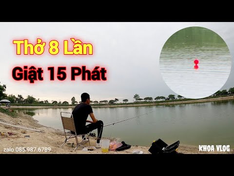 Câu Lục | Cá Thở Ổ 8 Lần - 15 Phát Giật và Cái Kết?