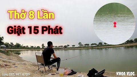 Câu Lục | Cá Thở Ổ 8 Lần - 15 Phát Giật và Cái Kết?