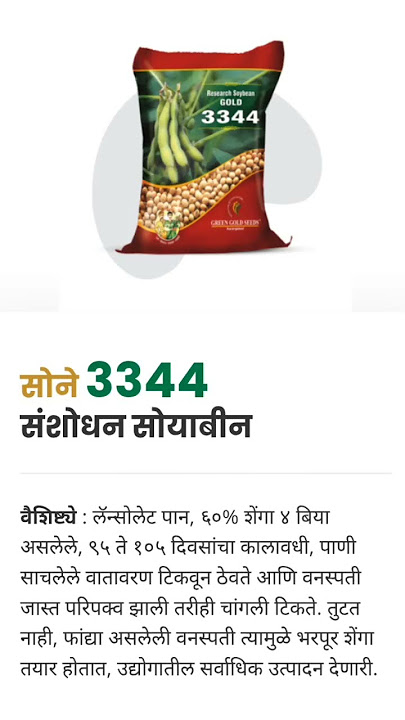 Green Gold 3344 Soyabeen ग्रीन गोल्ड सोयाबीन ३३४४#GreenGold3344Soyabean #3344 #soyabean