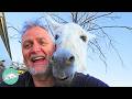 Man talks his heart out to donkeys and they talk back  cuddle buddies