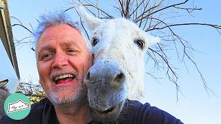 Donkeys Talk To This Man And Nibble On His Ears | Cuddle Buddies