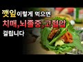 깻잎 잘못먹으면 치매 뇌졸중 고혈압 옵니다 절대 이렇게 먹지 마세요
