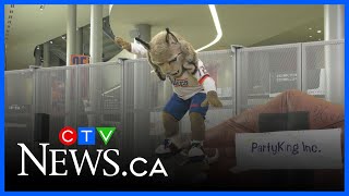 Edmonton Mascots Go Bull Riding Ahead Of Pbr Canada National Finals