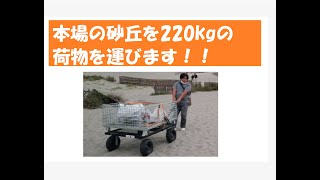 おすすめ台車　メッシュパレットon台車