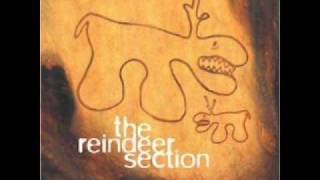 Miniatura de vídeo de "The Reindeer Section"