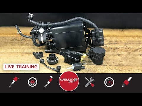 Smoke Evap System