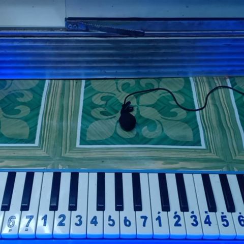 Not Angka Pianikadan Lirik Lagunya Marshmello Alone not angka care bebek tiktok - YouTube