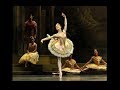 The Royal Ballet's 10 Prima Ballerinas of 2018