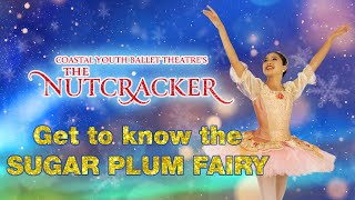 Nutcracker 2023: Get to know the Sugar Plum Fairy