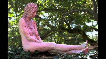 Fall in Cambridge, 2011 (Benny Shilo).mov