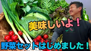 【ブレンドファーム】野菜セットをECサイトで全国に販売させていただくことになりました‼︎