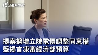 提案擴增立院電價調整同意權 藍揚言凍審經濟部預算｜20240502 公視晚間新聞