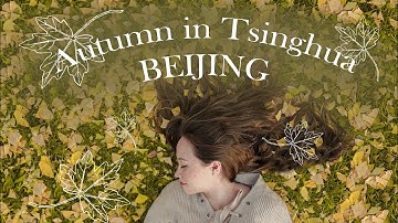 Autumn in Tsinghua - Beijing ｜清华大学的秋天