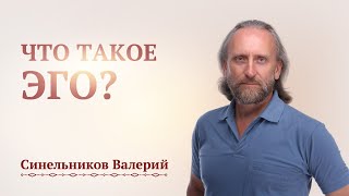 Что такое Эго человека? Валерий Синельников