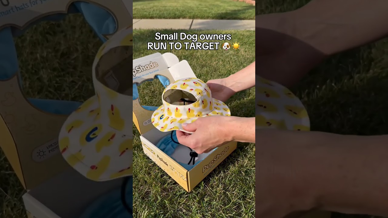 Every dog mom needs This!