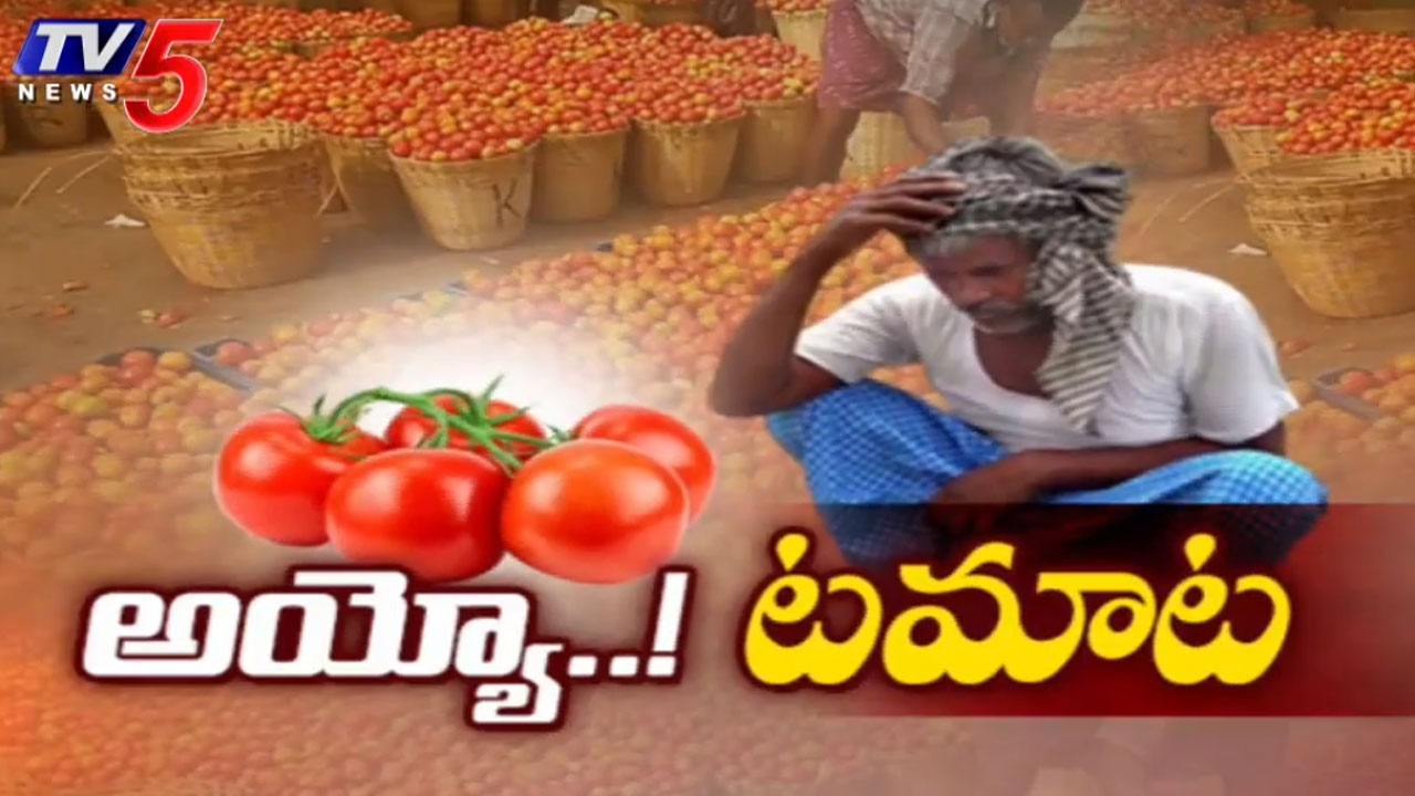 మళ్లీ పతనమైన టమాట ధరలు Huge Loss To Farmers As Tomato Prices Fall Down | Kurnool | TV5 News