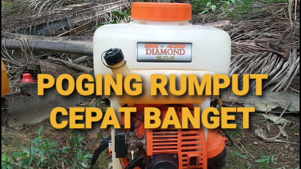 Meracun Rumput In English - Sg Cleaning Carousell Malaysia : Ready to