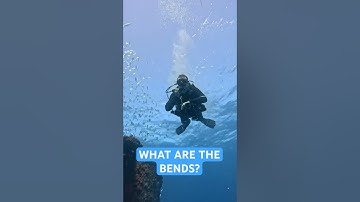 Preventing the BENDS while SCUBA DIVING!