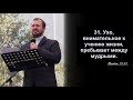 Реальное значение Веры / Денис Сердиченко