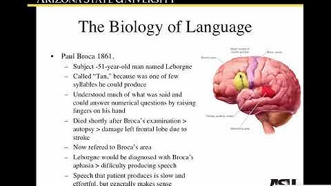 Biology of Language
