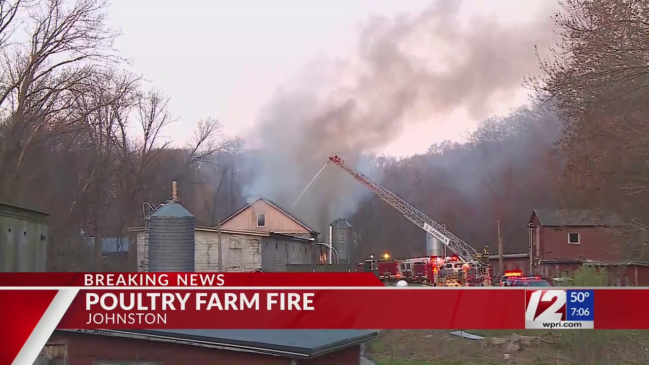 Thousands of chickens likely killed in Johnston poultry farm fire