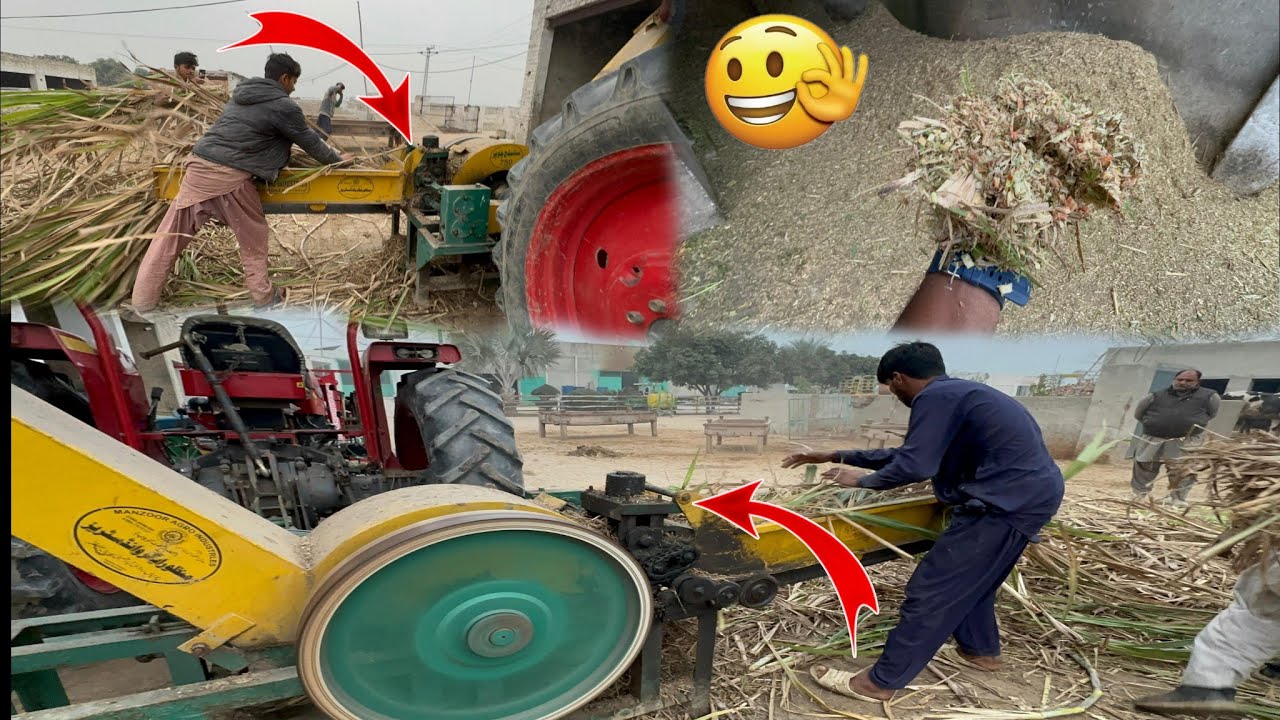 Jaded Machine Aur Tractor Se Kamad 🌾🌿Ka Kutra | Sugarcane Chopper Practical Working