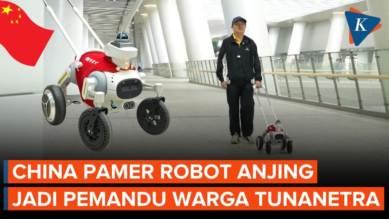 China Pamer Robot Anjing Berbasis AI, Jadi Pemandu Warga Tunanetra