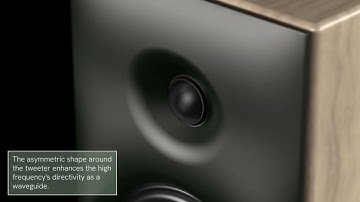 ELYTRON Front Baffle - Directivity Control, Diffraction Optimisation