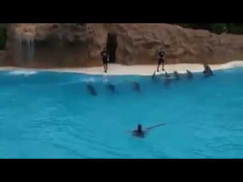 محمد يانور العين ياخاتم النبيين
