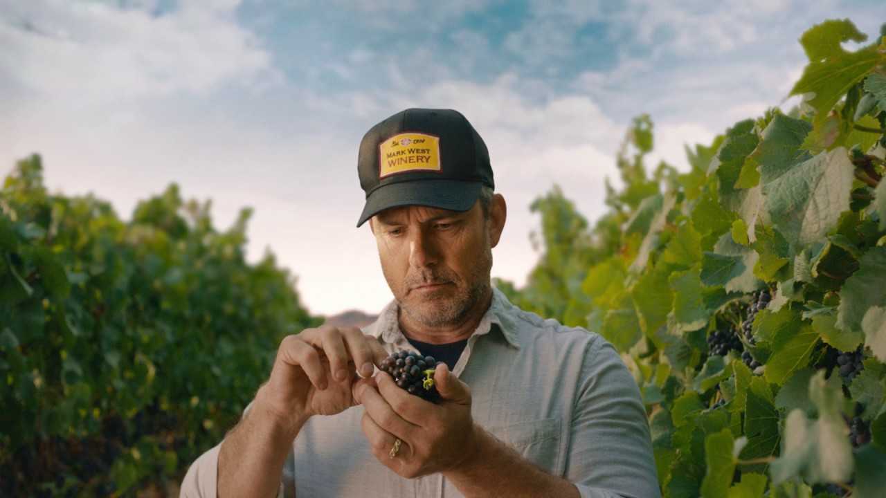 10,000 Hours of expertise