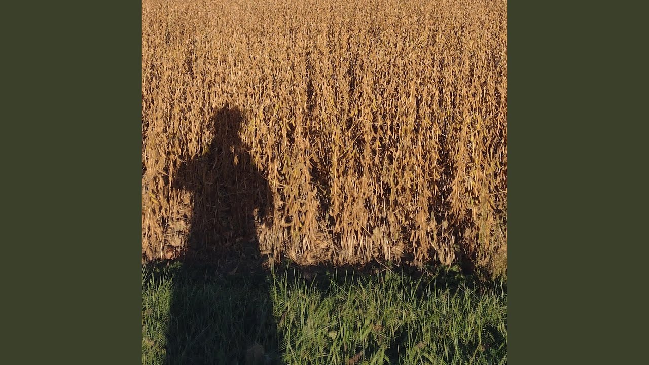 Obejrzyj Alone w YouTube Obejrzyj Alone w YouTube