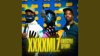 Xxxx Freestyle Sponge